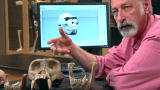 <i>Ardipithecus</i>: 