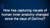 Curiosity: Alexander Tsiaras: Visuals of Human Inner Anatomy Since the Days of Da Vinci