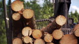 American Loggers: Running Hot