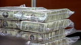 Double Life: Bringing Down the Cartel