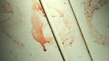 On the Case with Paula Zahn: Message In Blood