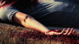 Unusual Suspects: Blood Trail