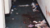 True Crime with Aphrodite Jones: Sneak Peeks: Diabolical Dogs