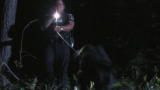 FBI: Criminal Pursuit: Forensic K9 Unit