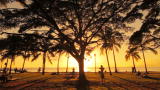 Cold Blood: Crimes in Paradise
