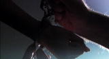 The Bureau: Sex Slaves?