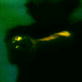 Deranged: Night Stalker Begins