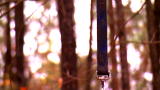 The Injustice Files: Hung With His Dog's Leash