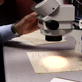 Solved: Document Forging