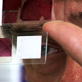 Trace Evidence