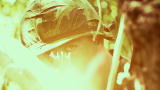 Warrior POV: M16 Jam in the Jungle