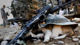 No Dog Left Behind: Friend for Life