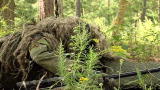 Top Sniper 2: Camouflage