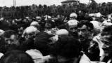 Nazi Collaborators: Thousands Die on Bloody Sunday