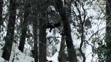 Special Ops Mission: Bounding Over