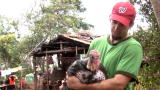 Animals: Turkey Day: El Salvador Diary