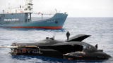 Animals: Rammed Anti-Whaling Boat Sinks