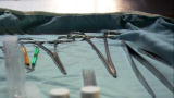Forensic Factor: A Deadly Affair