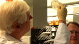 Creating Synthetic Life: It's Alive!