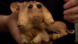Oddities Season 3: Fingernails and Just for Males