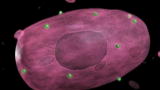 Greatest Discoveries: HIV Research and Discoveries