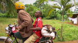 Brave New World: Origins of HIV