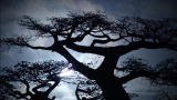 Mutant Planet :Birth of Madagascar