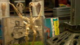 Oddities: Articulated Rooster