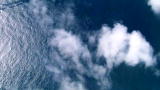 Brink: Pollution Destroys Ocean