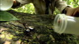 Wild Freaks of Nature: Orb Spider