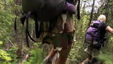 Mantracker: Surprise