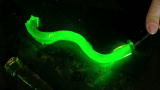 Head Rush: Gelatin Fiber Optics