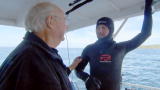 An Idiot Abroad: Shark Bait