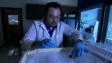Through The Wormhole 2: Cryogenic Preservation