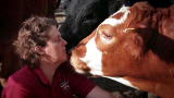 Ingenious Minds: Think Like the Animals