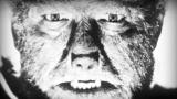 Ten Ways: Werewolf Transformation