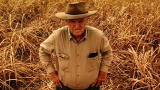 Cane Toads: Possible Solution