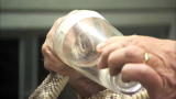 Science of the Movies: Snakes