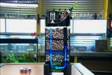Deconstructed: Aquarium Filtration