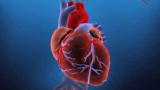 What Are the Odds?: Heart Attack