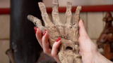 Oddities :A Hand, Please