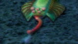 Greatest Discoveries : Opabinia