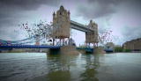 Engineering Across the River Thames