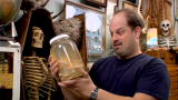 Oddities: Pickled Ostrich