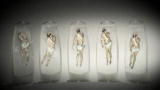 Alien Threats: Alien Sperm Sampling