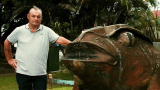 Cane Toads: Buffy