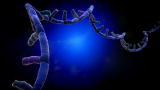 Through the Wormhole: From RNA to DNA