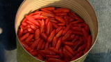 How It's Made: Hot Sauce