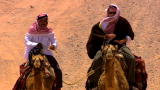 An Idiot Abroad: Camel Breakdown