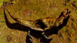 Alien Encounters: Earth's Most Alien Places